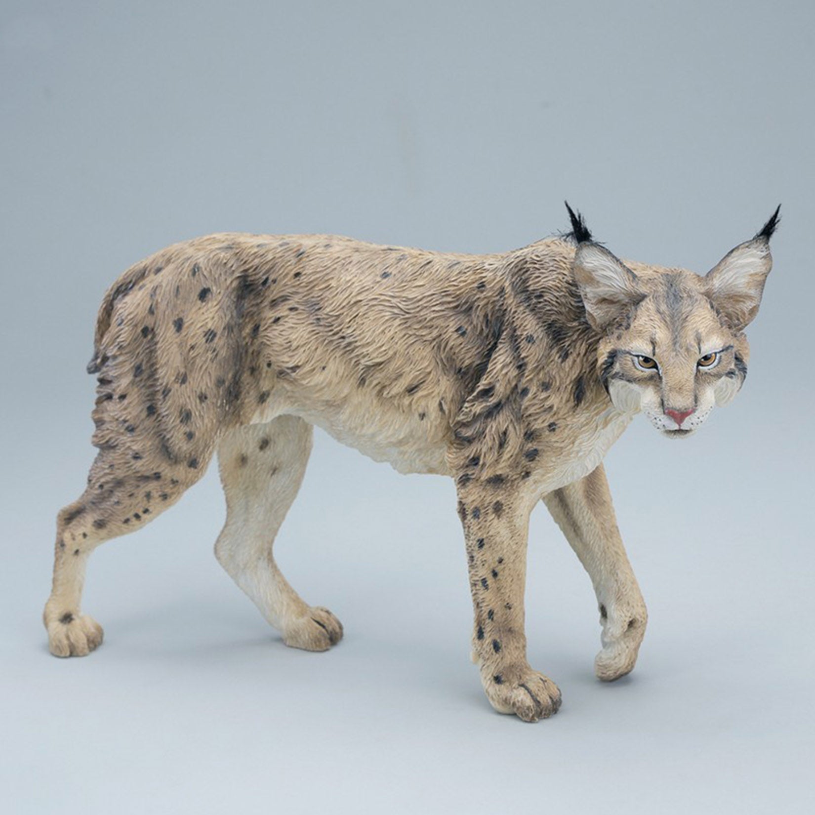JXK Studio Lynx  Model