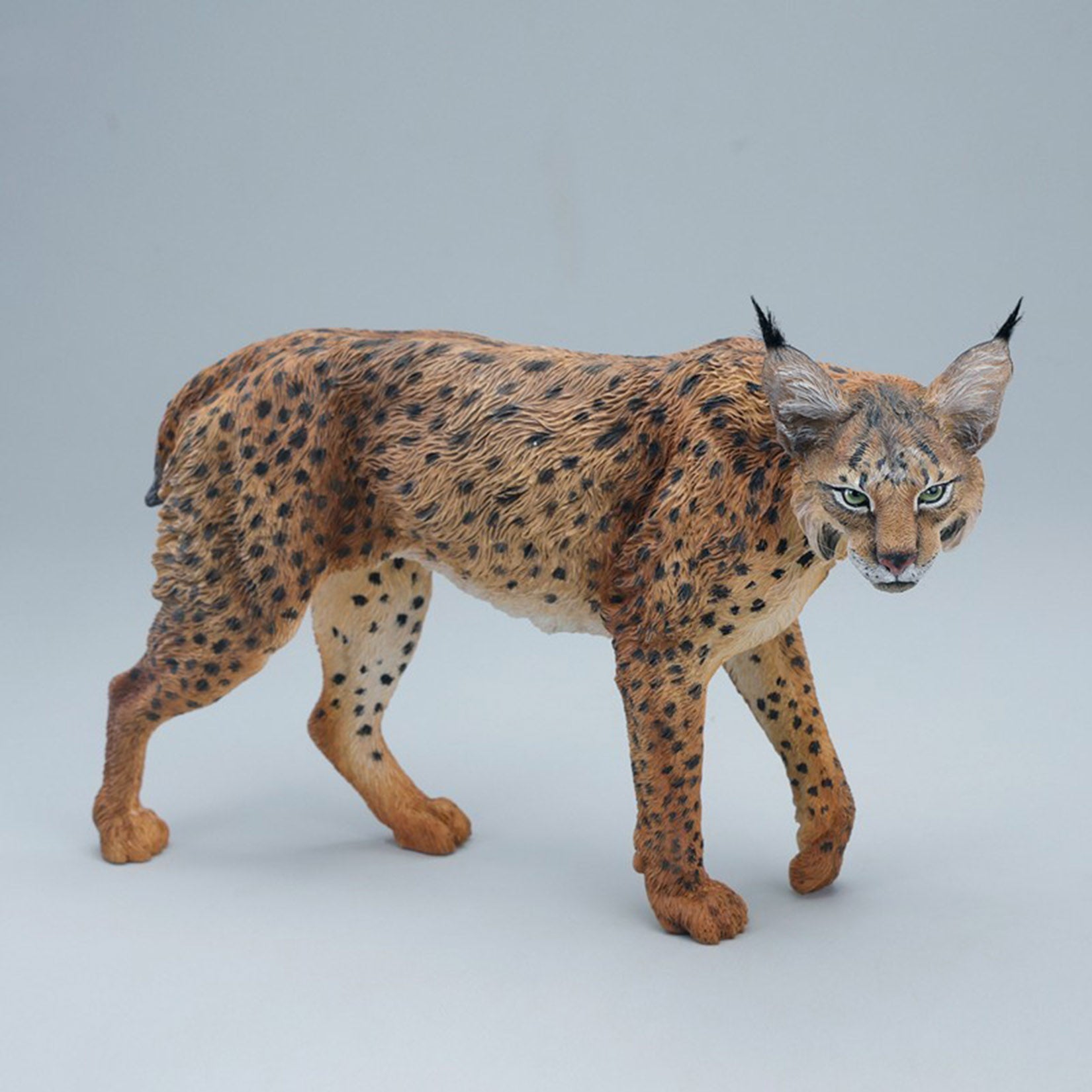 JXK Studio Lynx  Model
