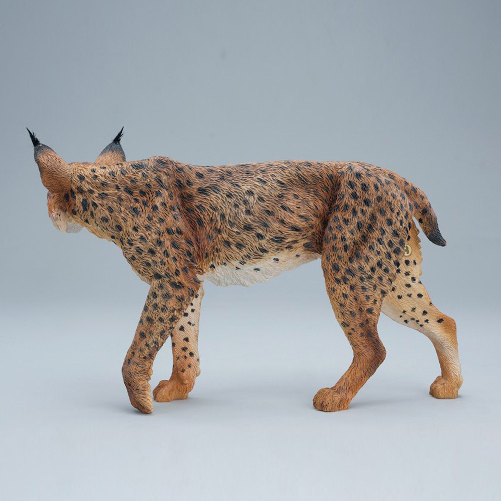 JXK Studio Lynx  Model