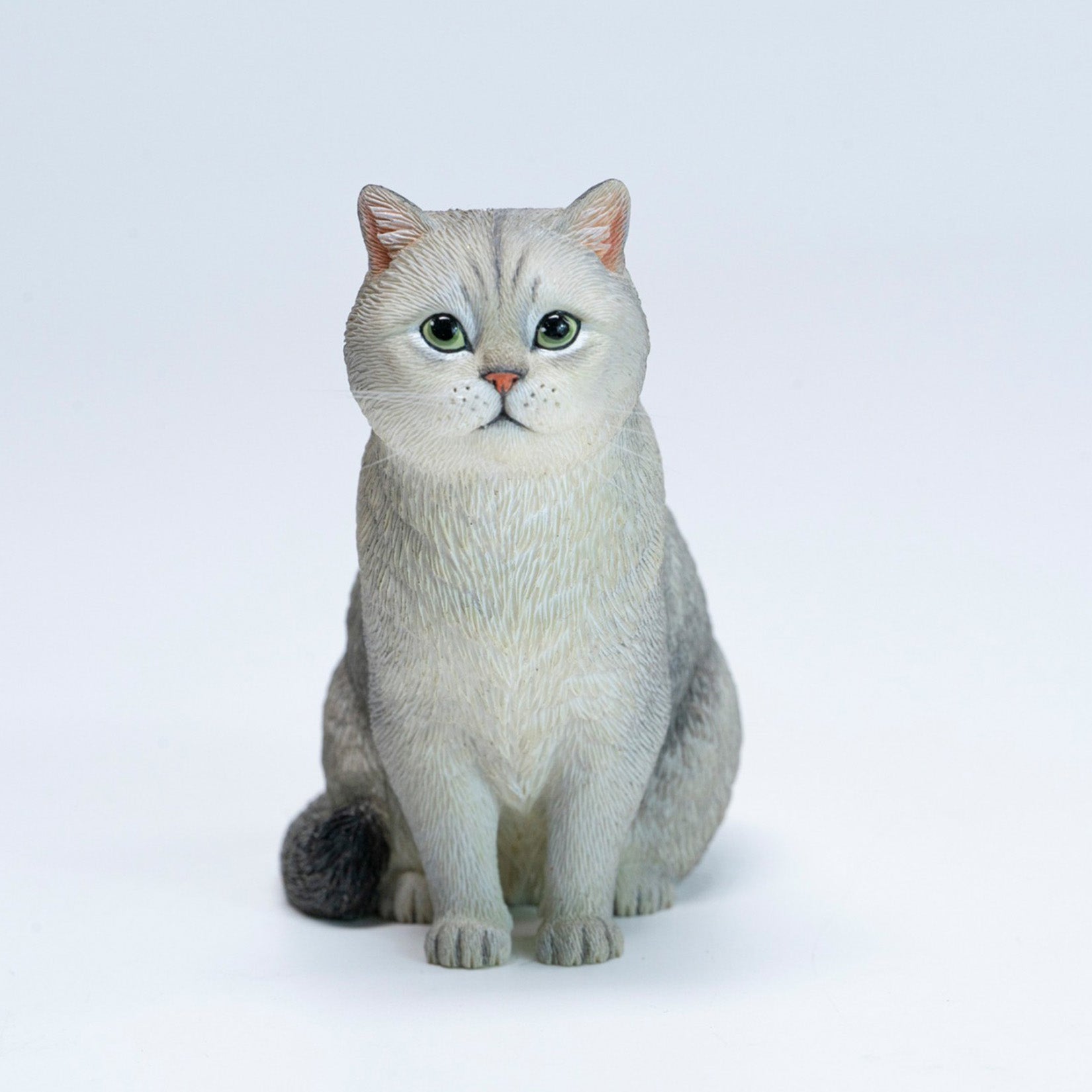 JXK Studio British Shorthair Cat Model