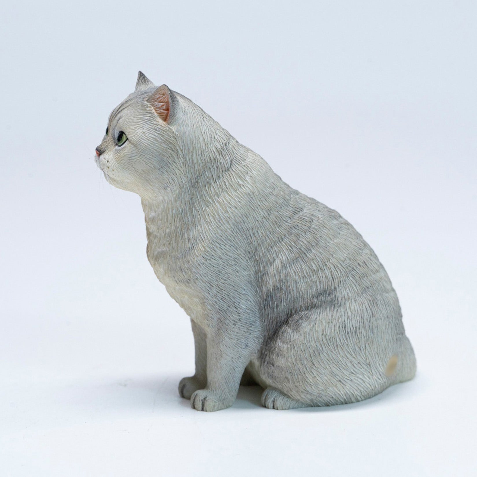 JXK Studio British Shorthair Cat Model