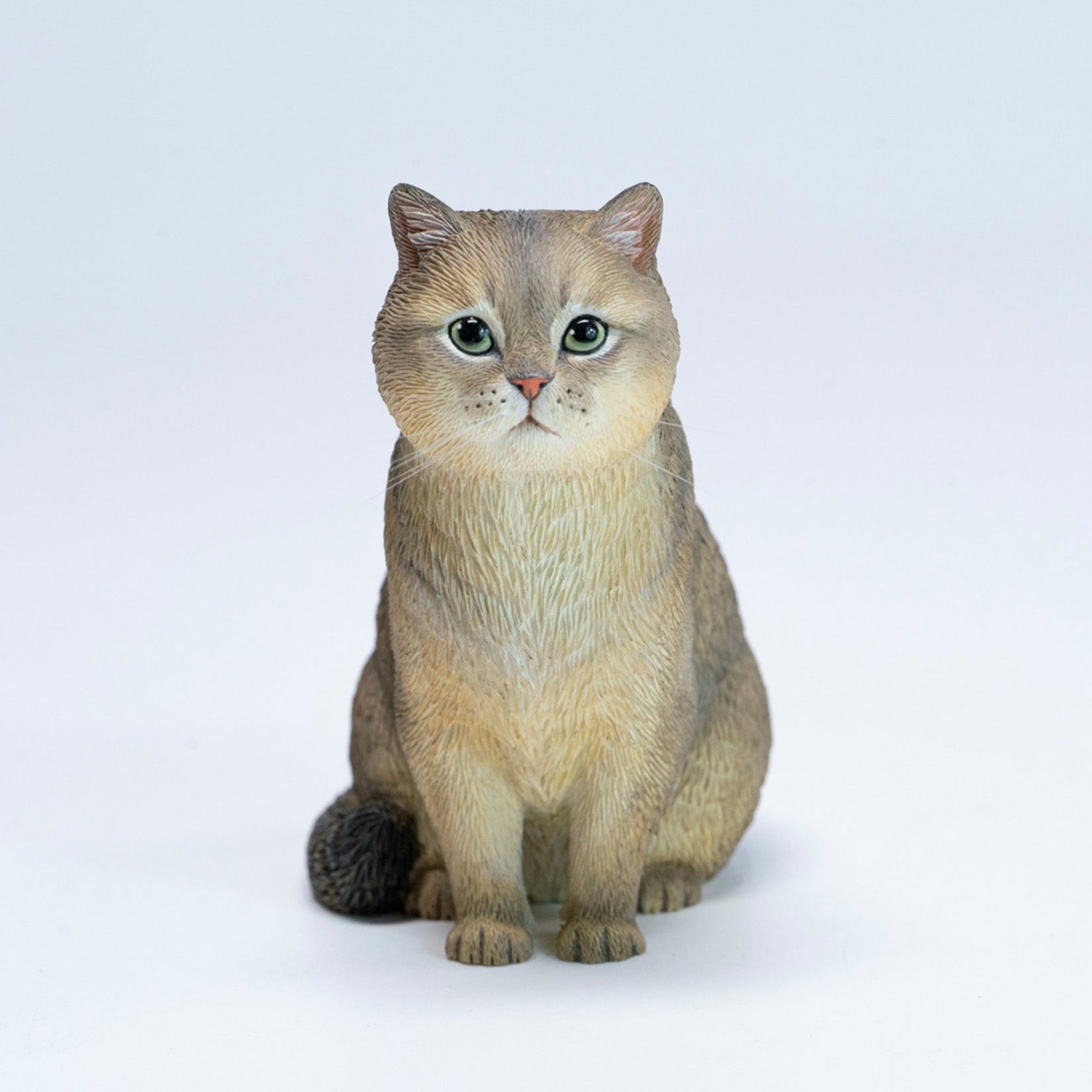 JXK Studio British Shorthair Cat Model