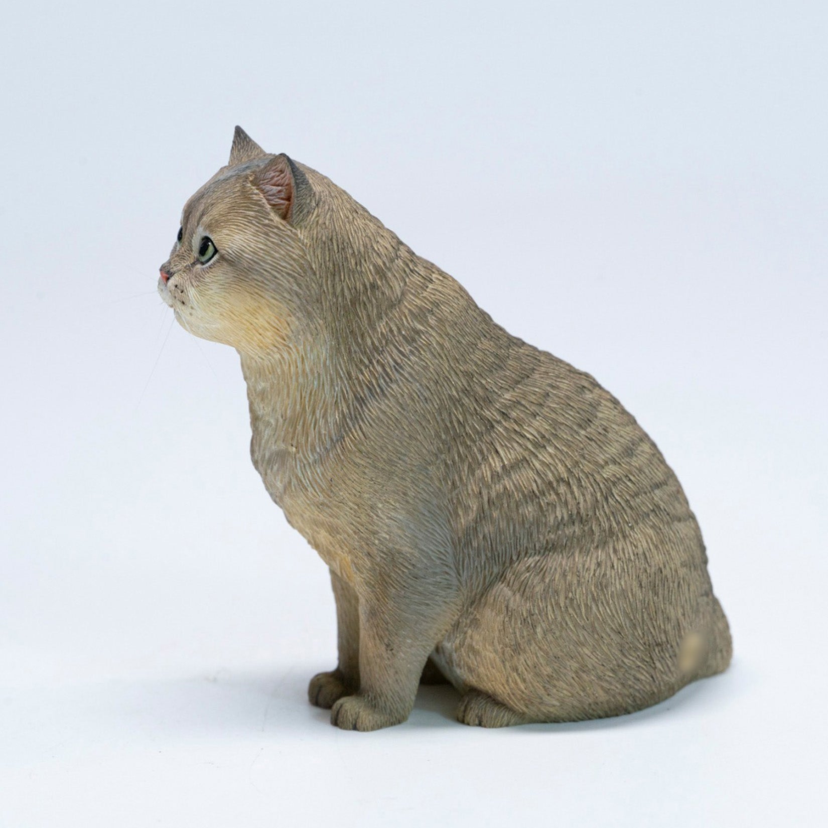 JXK Studio British Shorthair Cat Model