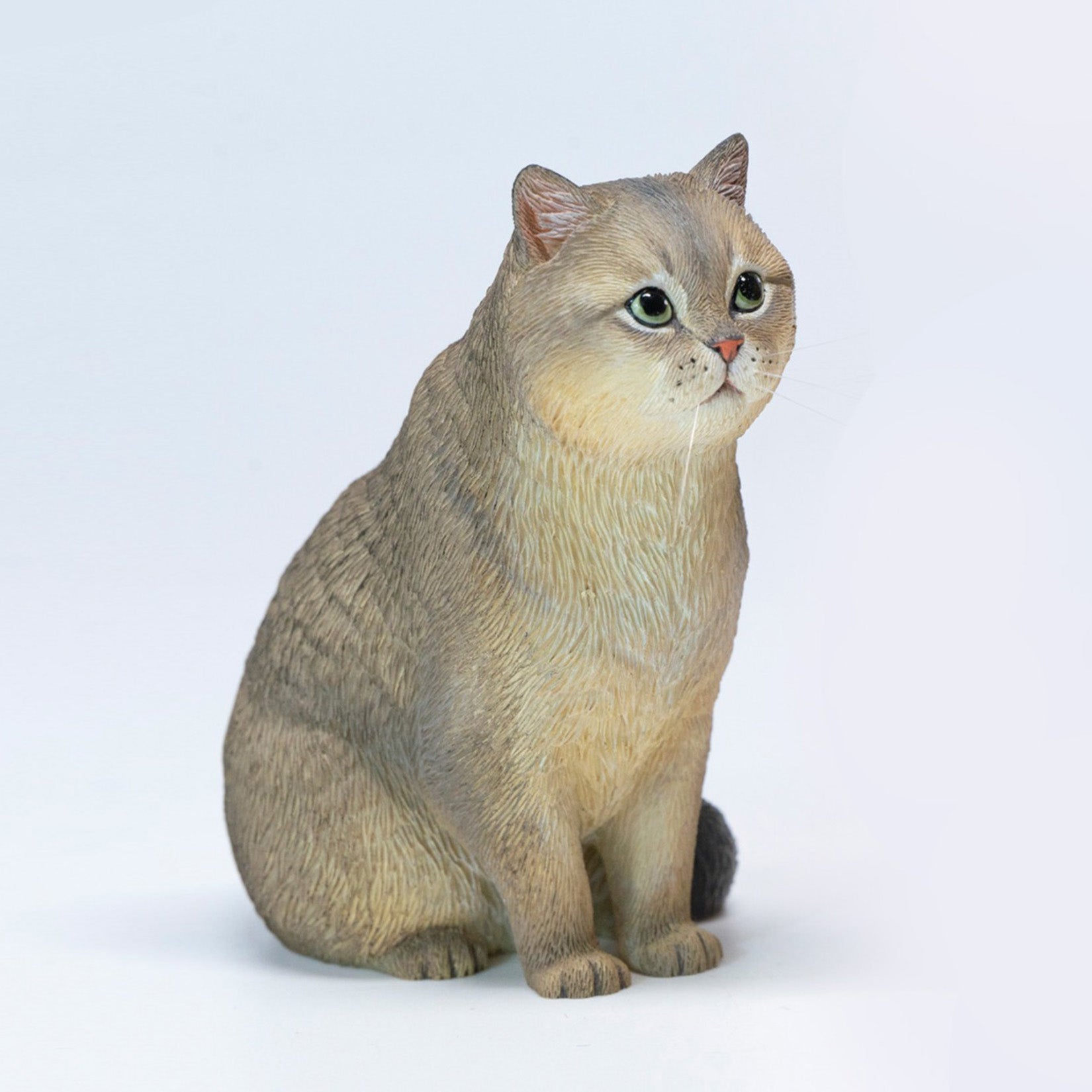 JXK Studio British Shorthair Cat Model