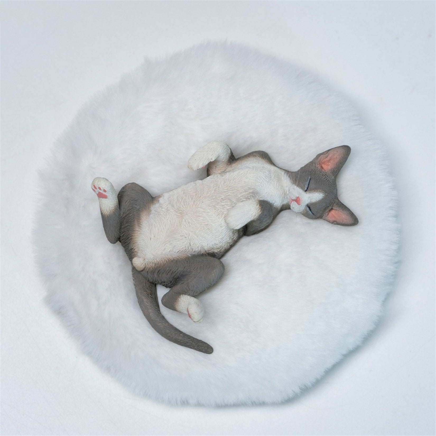 JXK Studio Resting Little Devon Rex Model