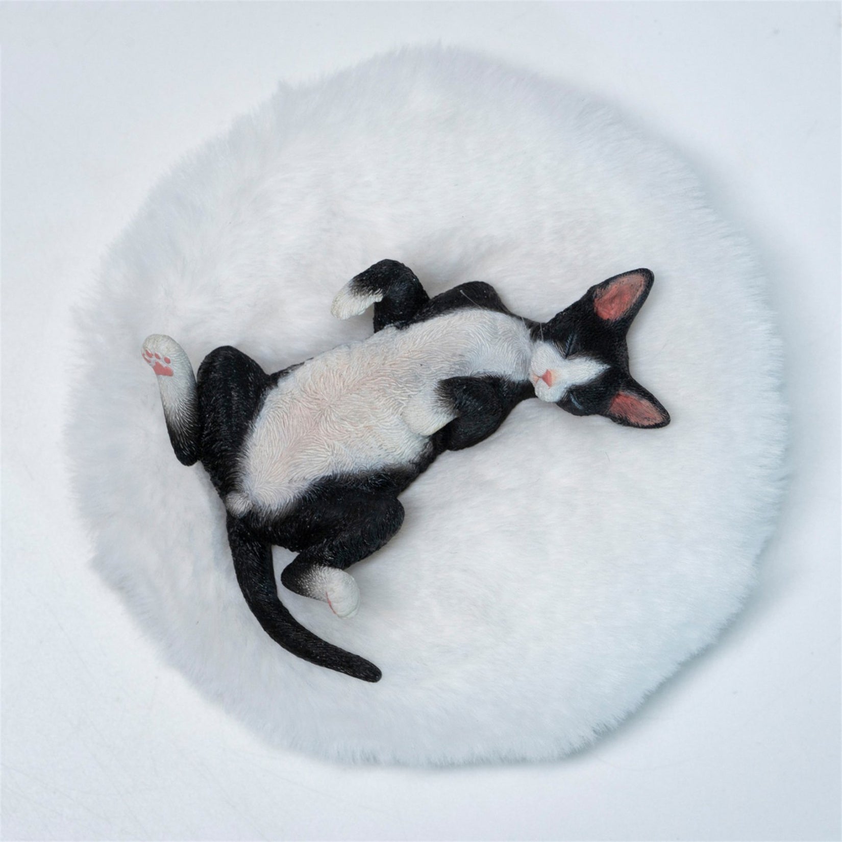 JXK Studio Resting Little Devon Rex Model