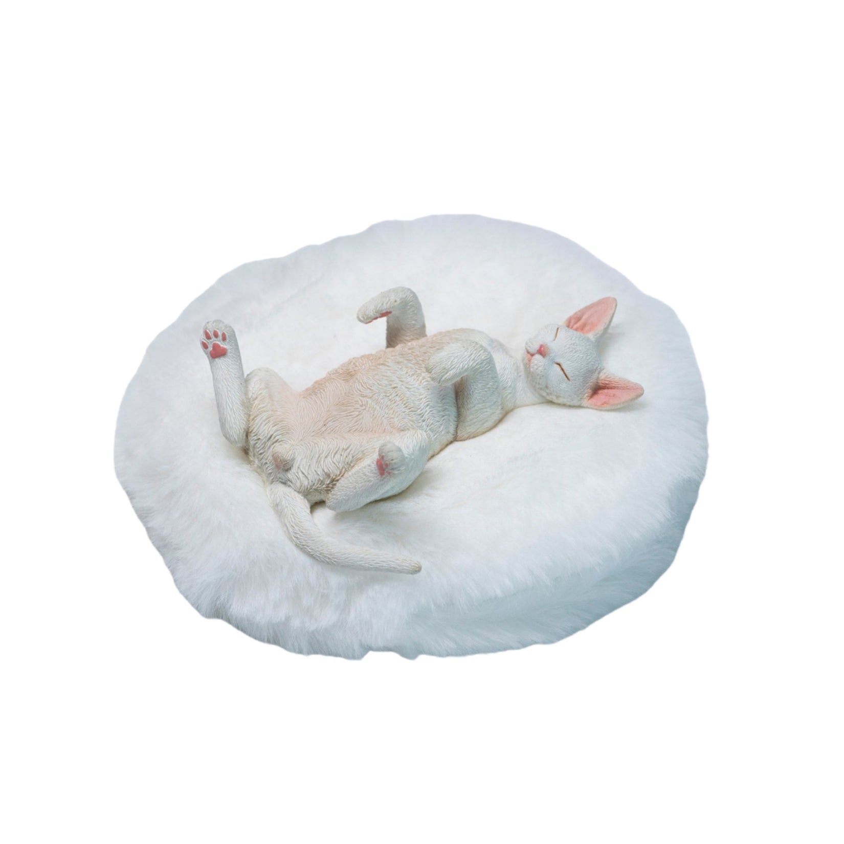 JXK Studio Resting Little Devon Rex Model