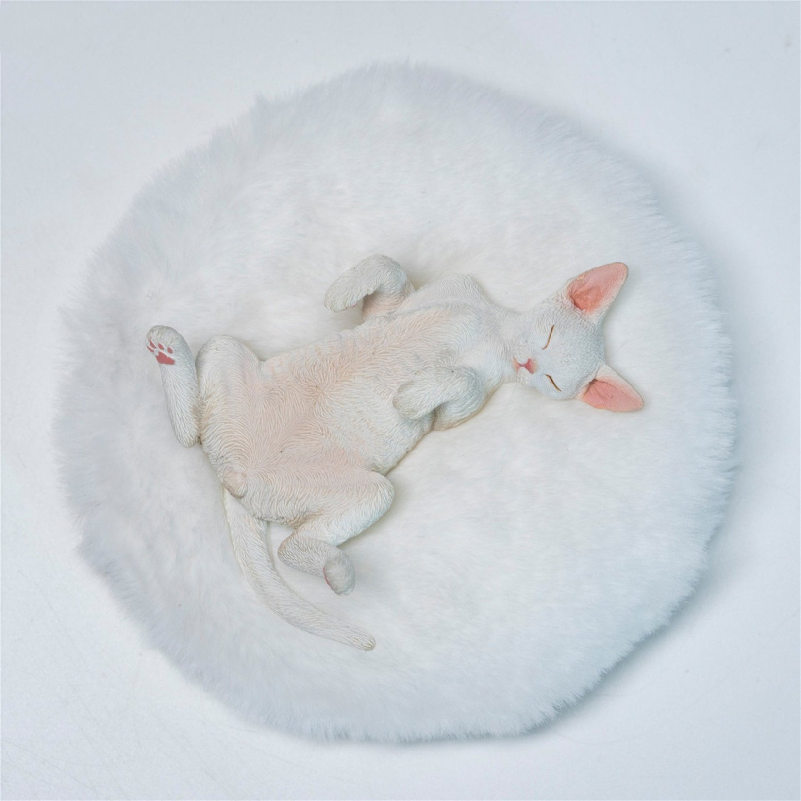 JXK Studio Resting Little Devon Rex Model