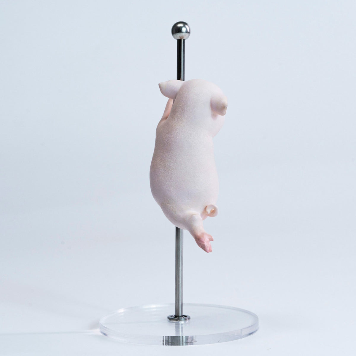 JXK Studio Pole Dance Pig Model