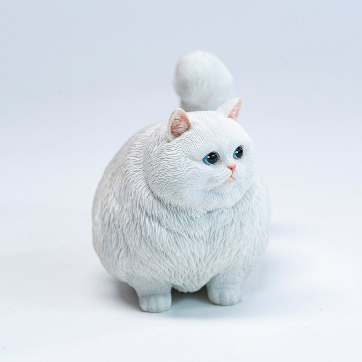 JXK Chubby Kitty Cat Model