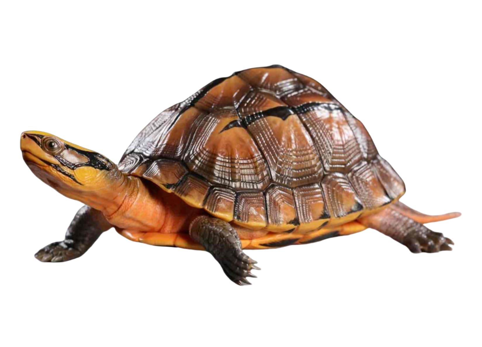 Simulated Tortoise Collectible Figurine