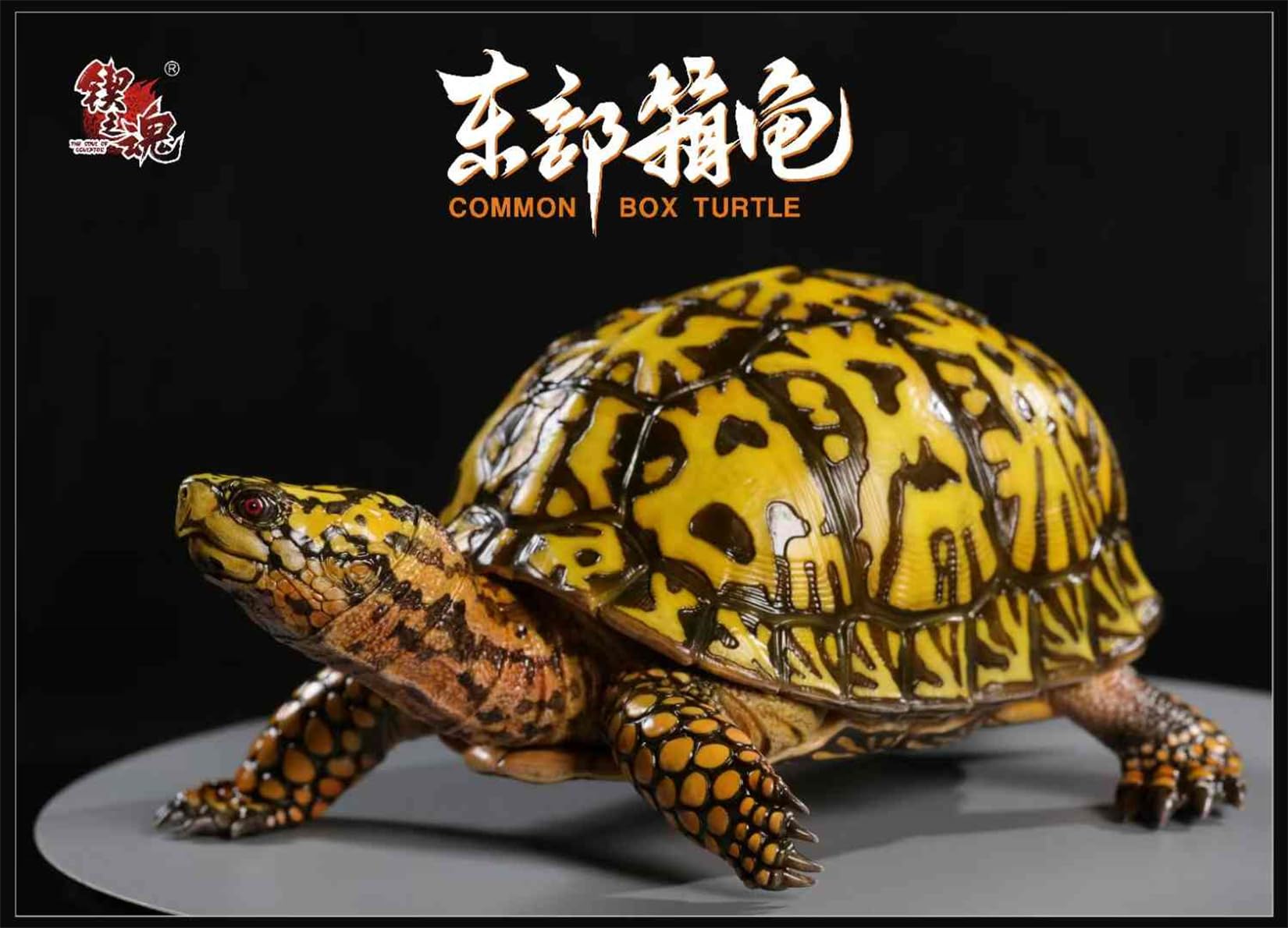 Simulated Tortoise Collectible Figurine