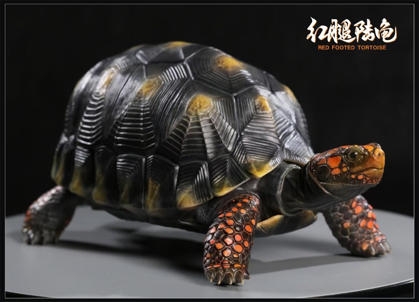 Simulated Tortoise Collectible Figurine