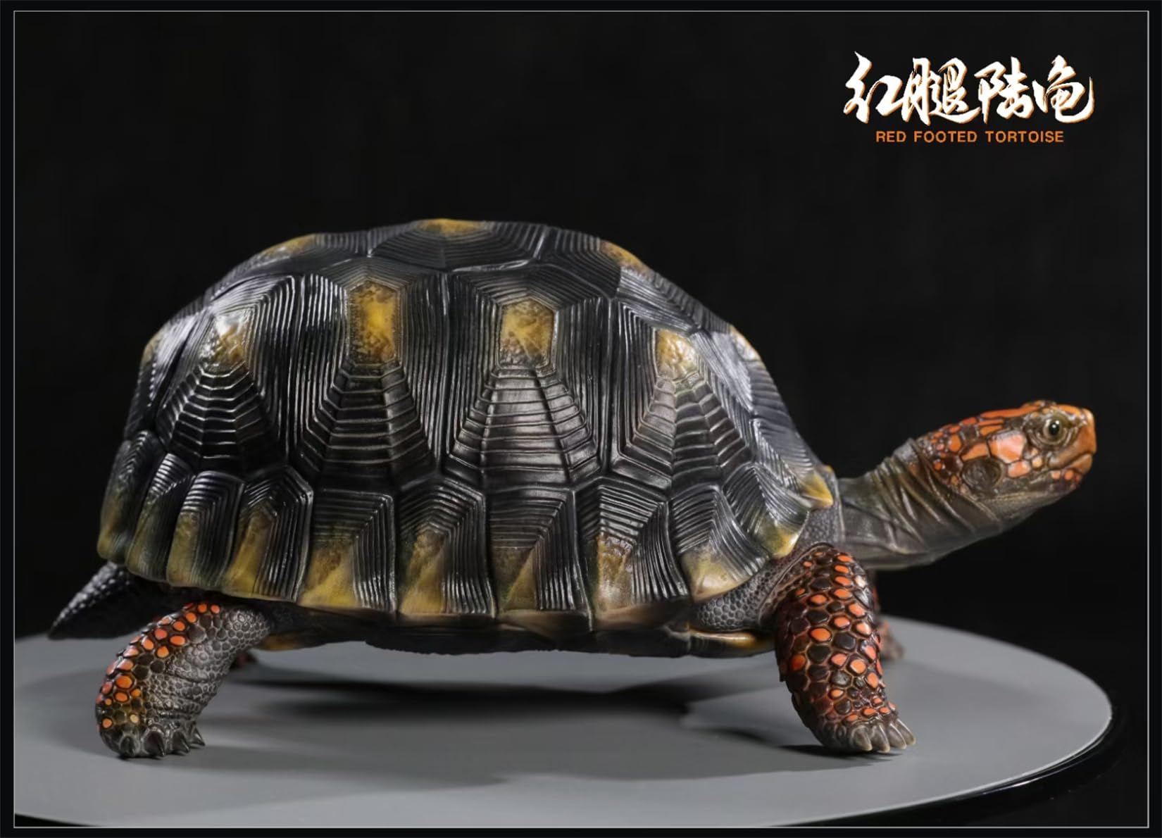 Simulated Tortoise Collectible Figurine