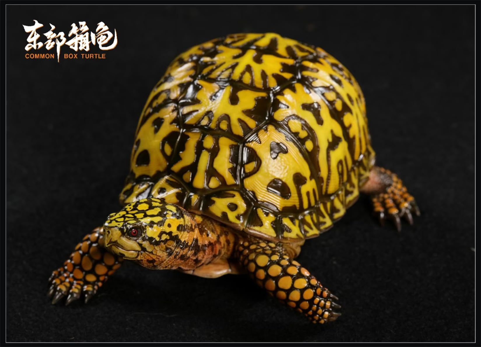 Simulated Tortoise Collectible Figurine