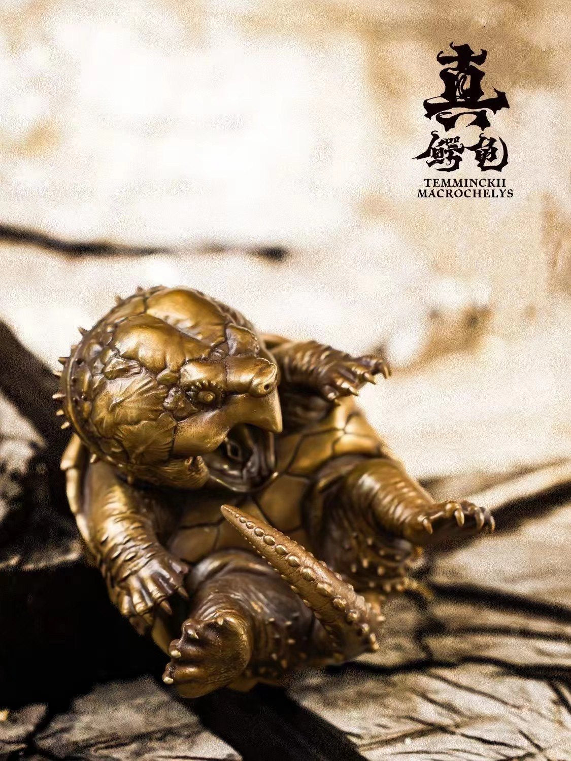 Schildkröten-Serie Tiermodell 