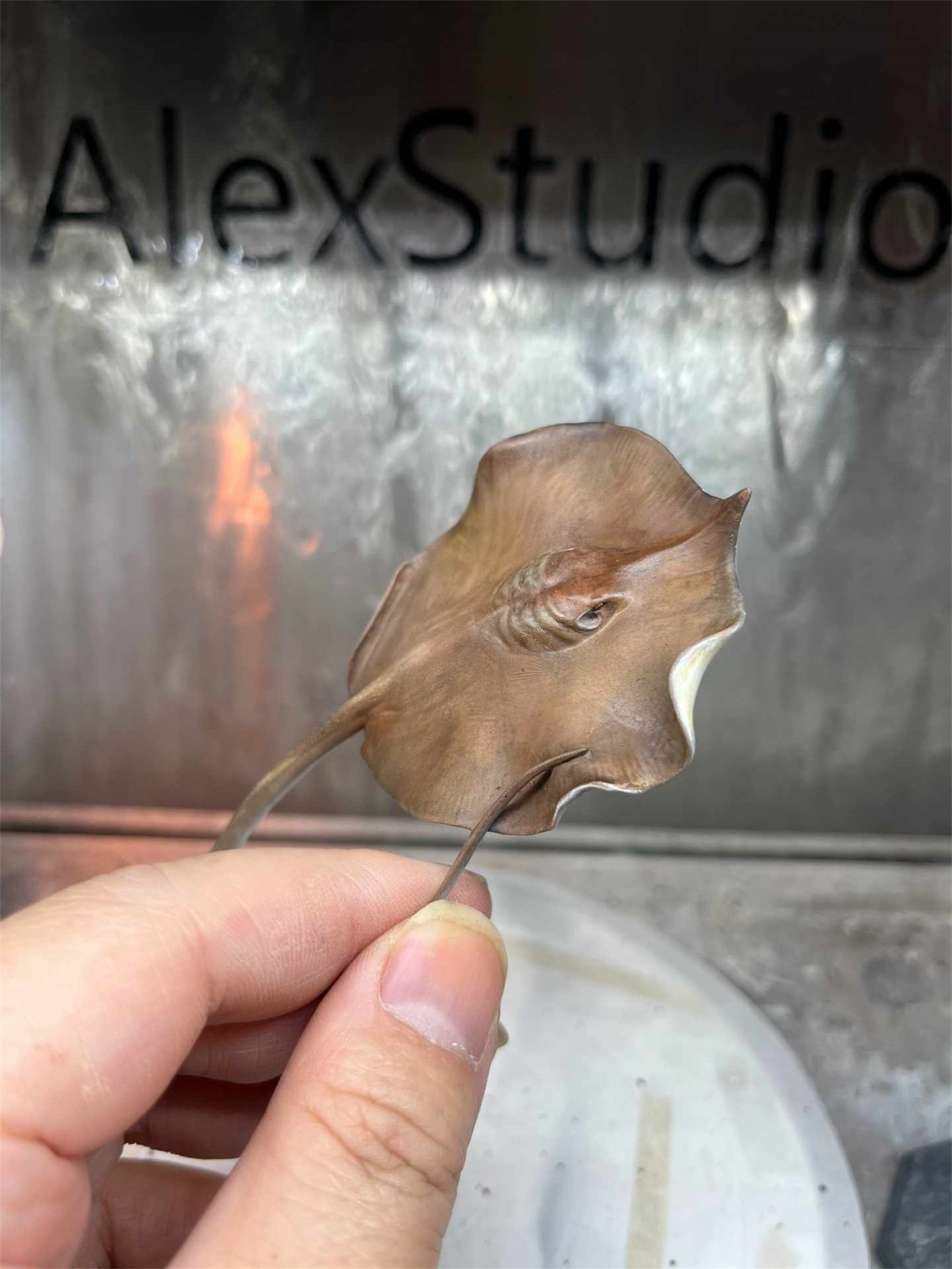 Alex Studio Giant freshwater stingray Model