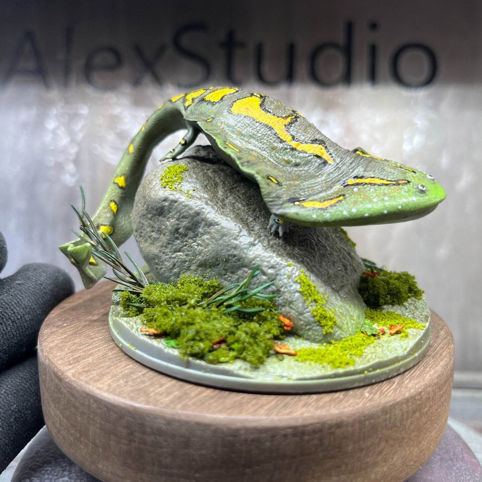 Alex Studio Diplocaulus Model