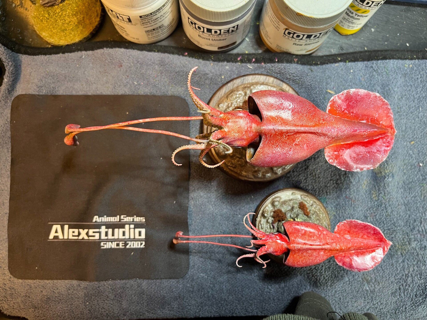 Alex Studio Colossal Squid Model