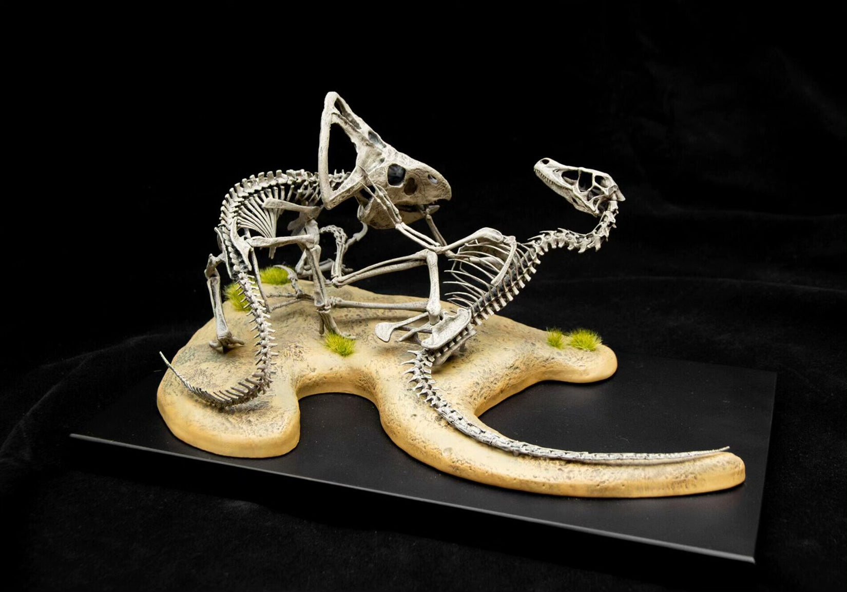 Allosaurus-Skelettmodell im Maßstab 1:18