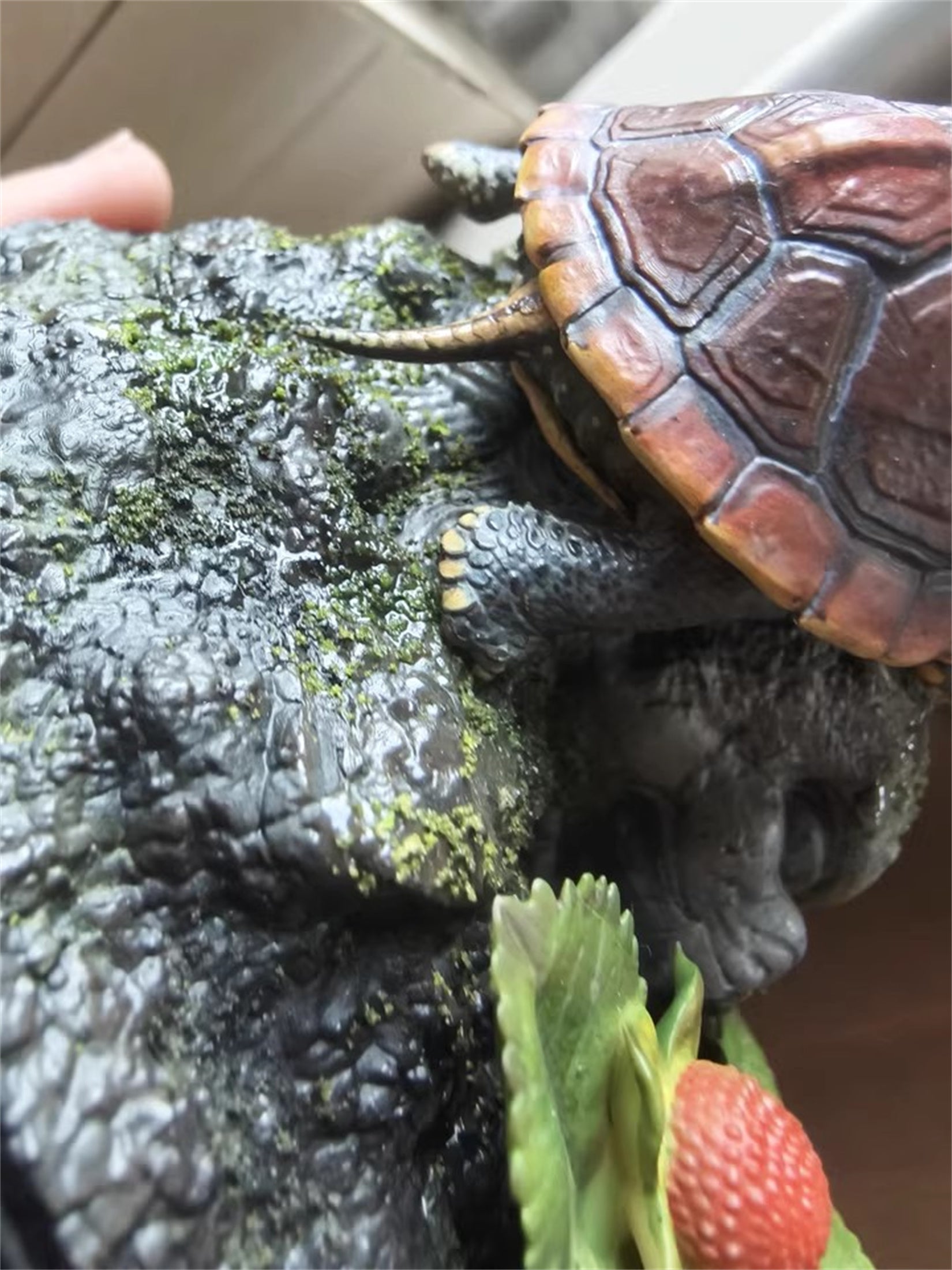 Yellow-margined Box Turtle Baby Model