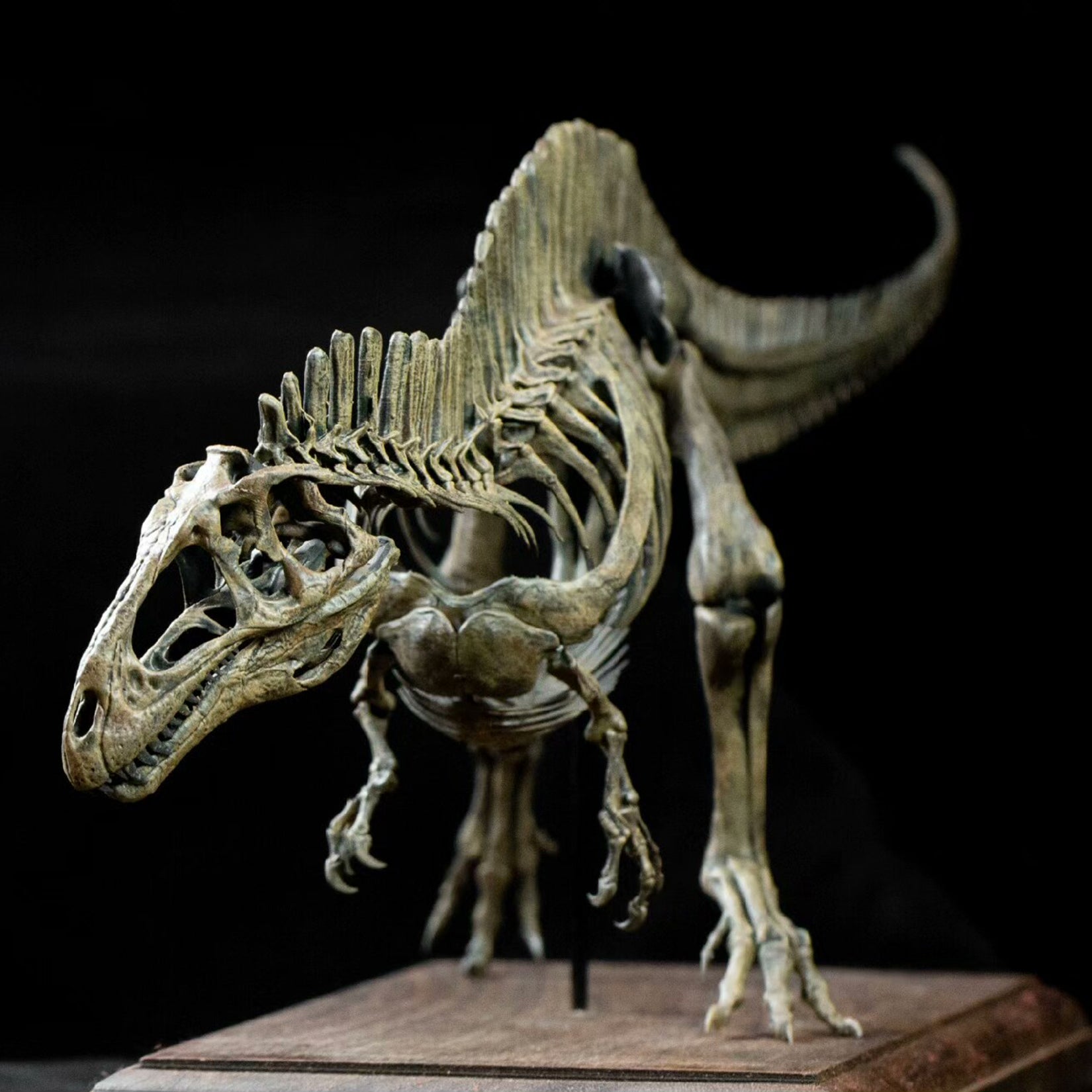 VWUVWU 1:20 Scale Acrocanthosaurus  Skeleton Model