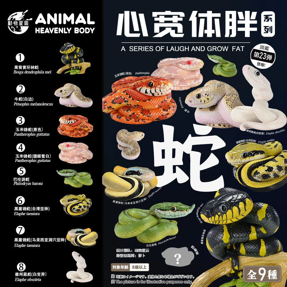Animal Heavenly Body 23 Snake 3.0 Blind Box Model