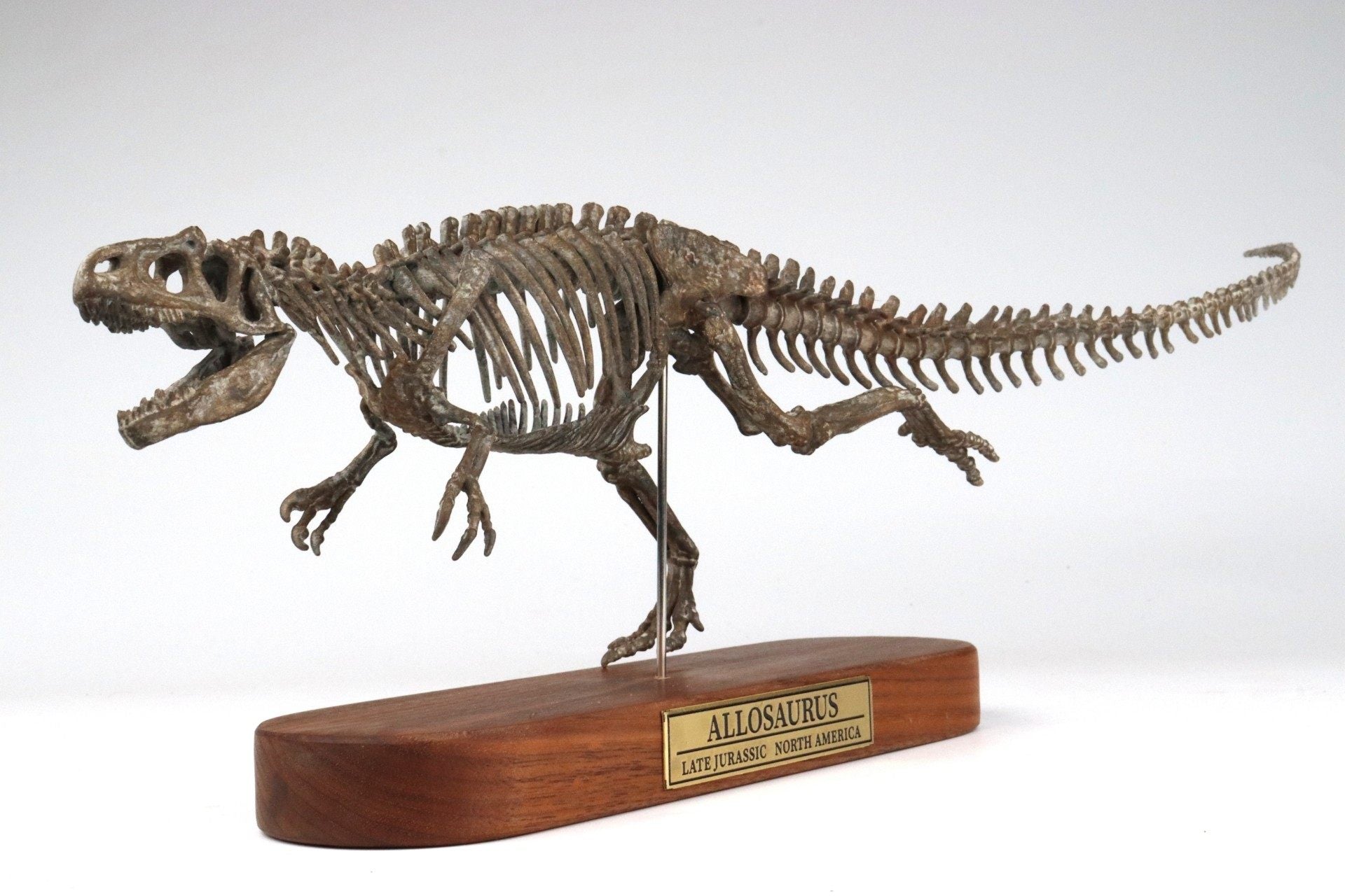 1: 18 Scale Allosaurus Skeleton Model