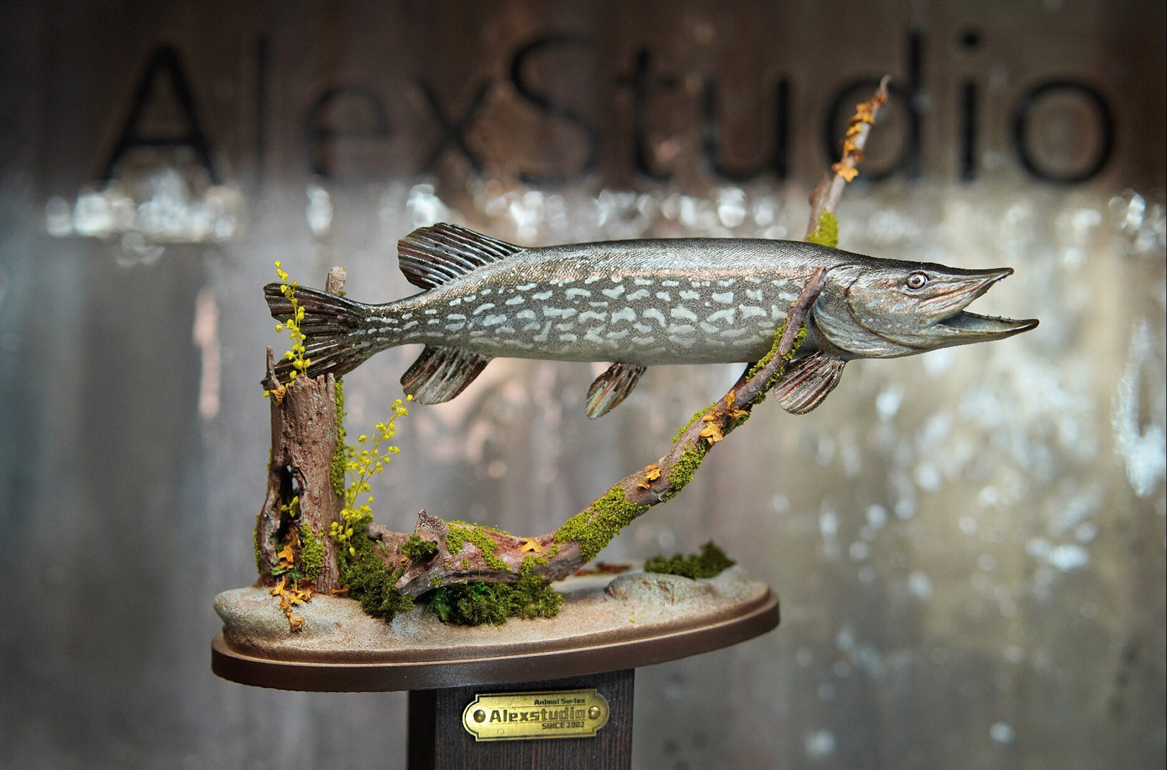 Alex Studio Northern Pike  Model