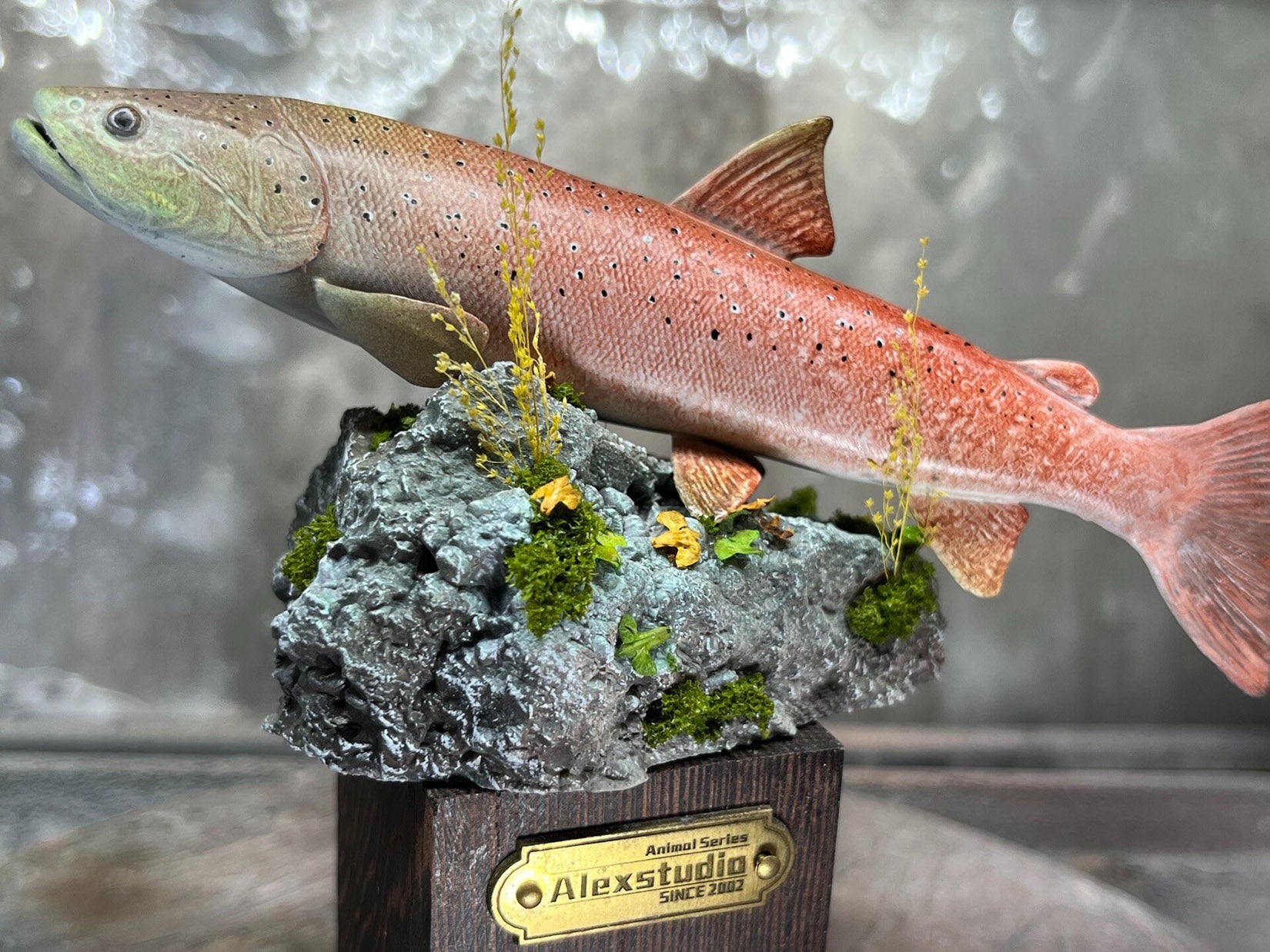 Alex Studio Siberian Huchen Model