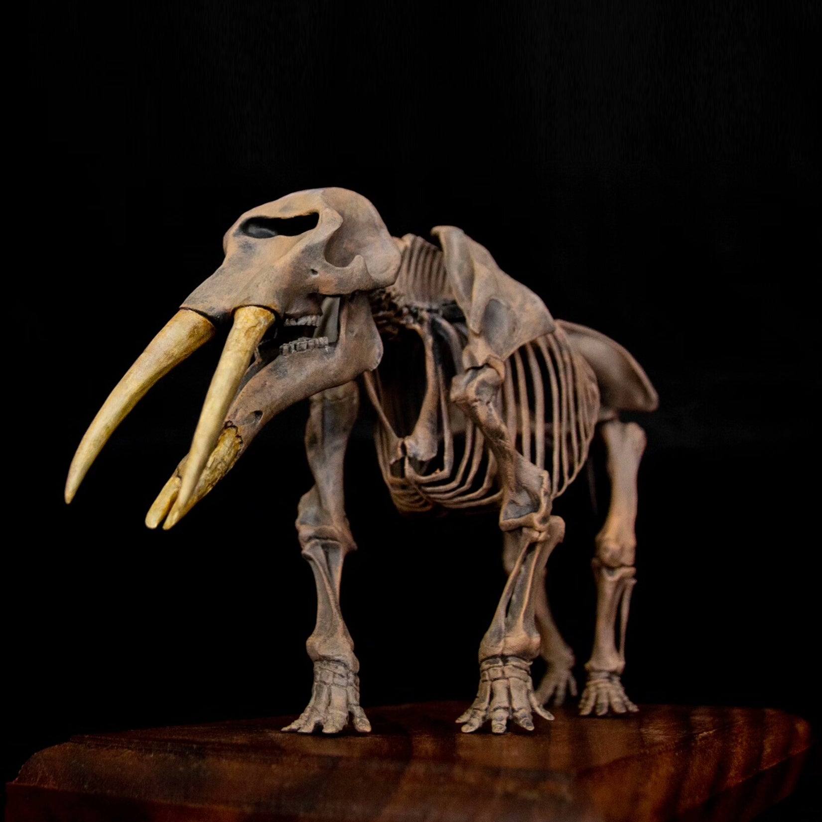 VWUVWU 1:20 Scale Gomphotherium Skeleton Model