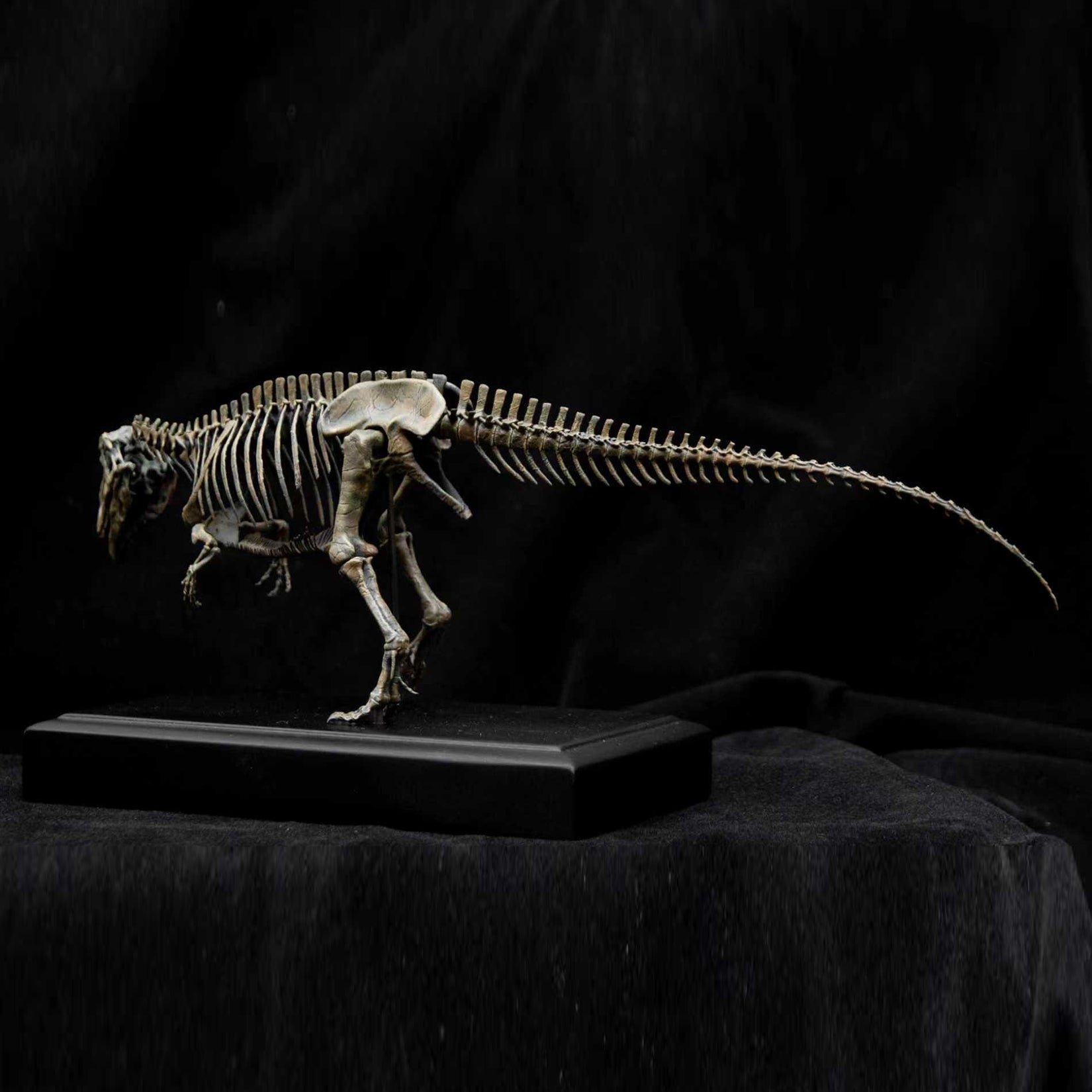 Allosaurus-Skelettmodell im Maßstab 1:18