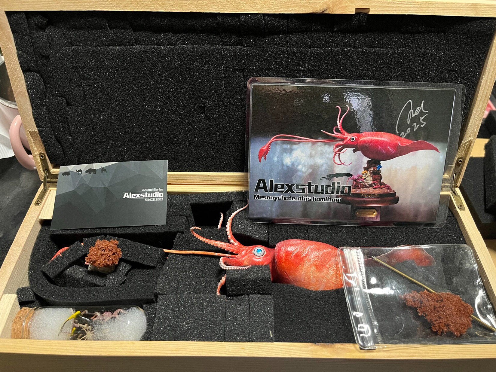 Alex Studio Colossal Squid Model