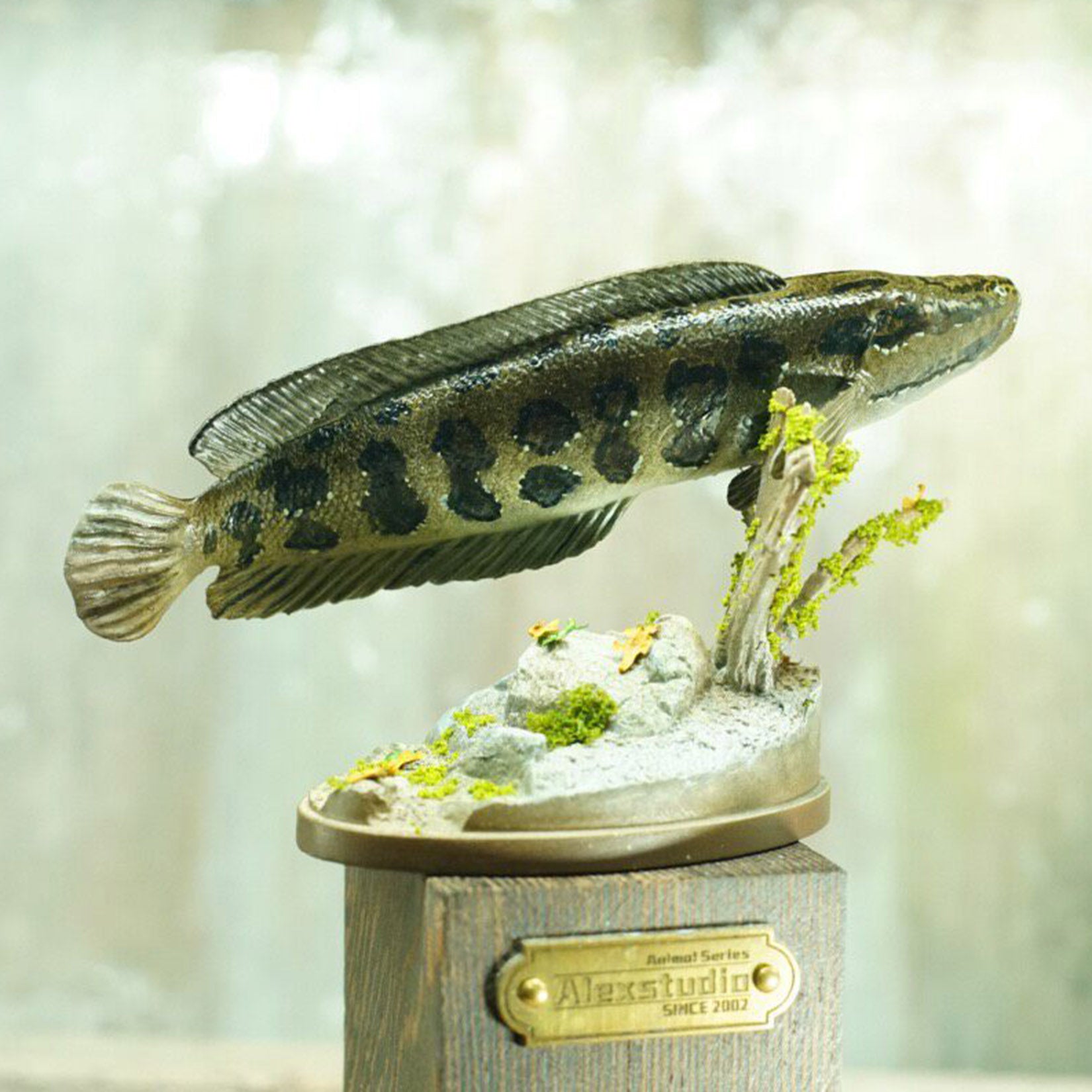 Alex Studio Northern Snakehead  Model