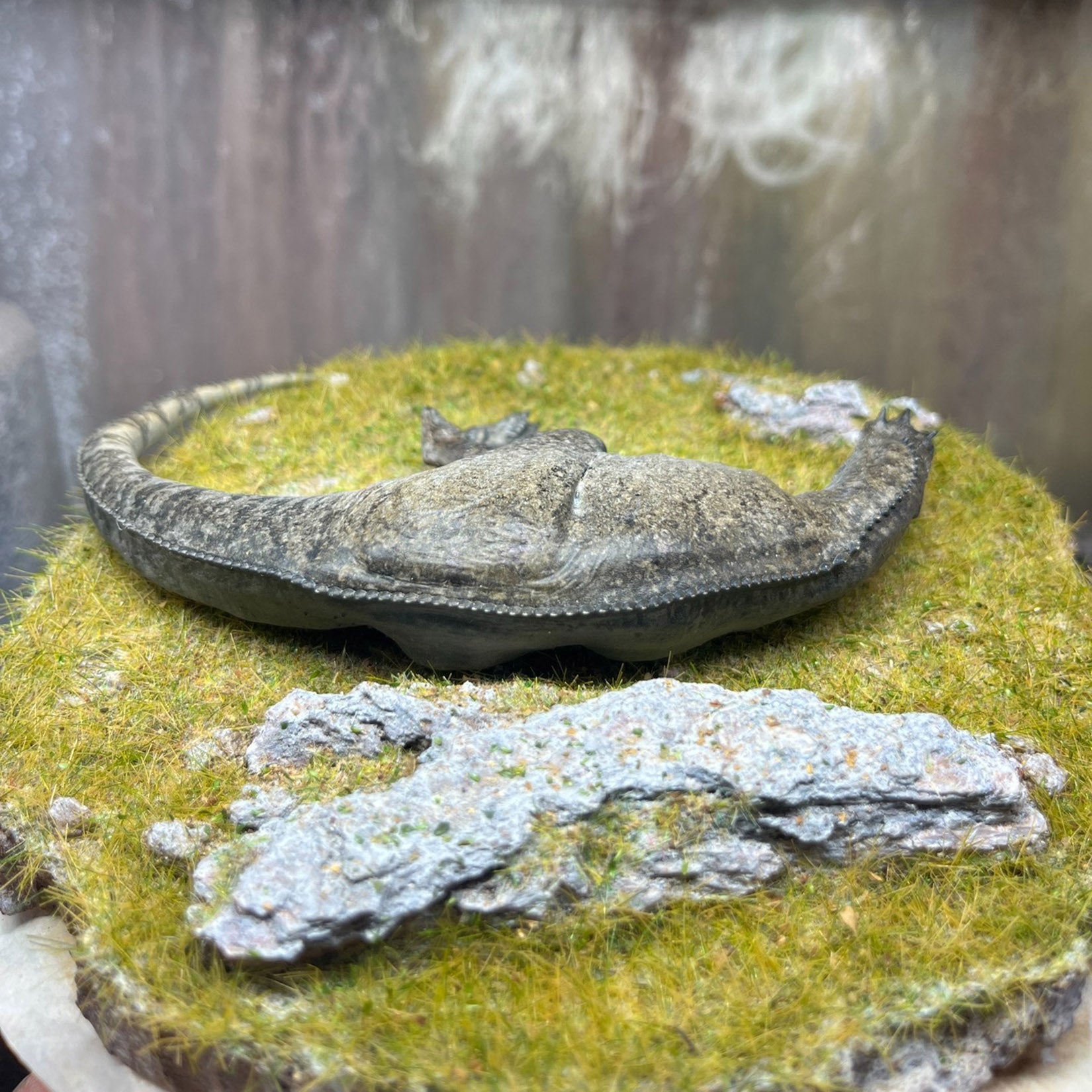 Alex Studio Ceratosaurus Dinosaur Model