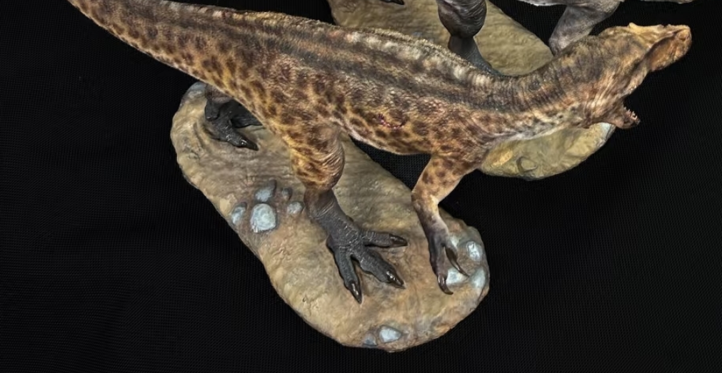 SHOWANNA 1/18 Scale Torvosaurus Model custom made