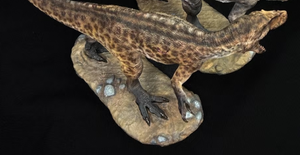 SHOWANNA 1/18 Scale Torvosaurus Model custom made