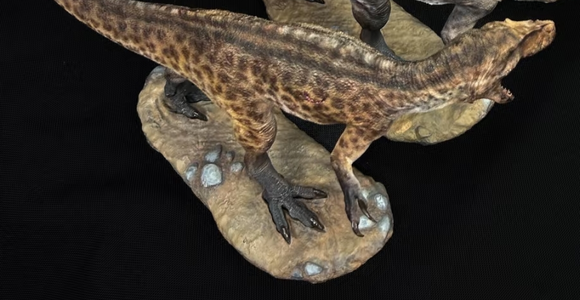 SHOWANNA 1/18 Scale Torvosaurus Model custom made