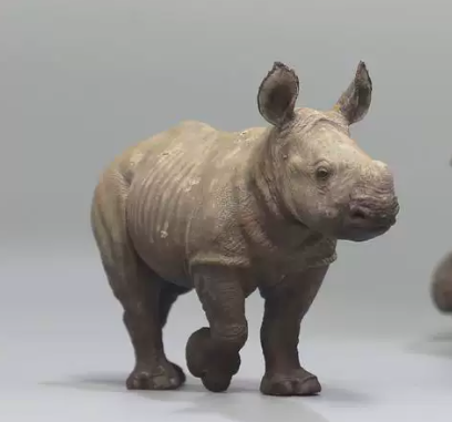 DAFEI White rhinoceros Model