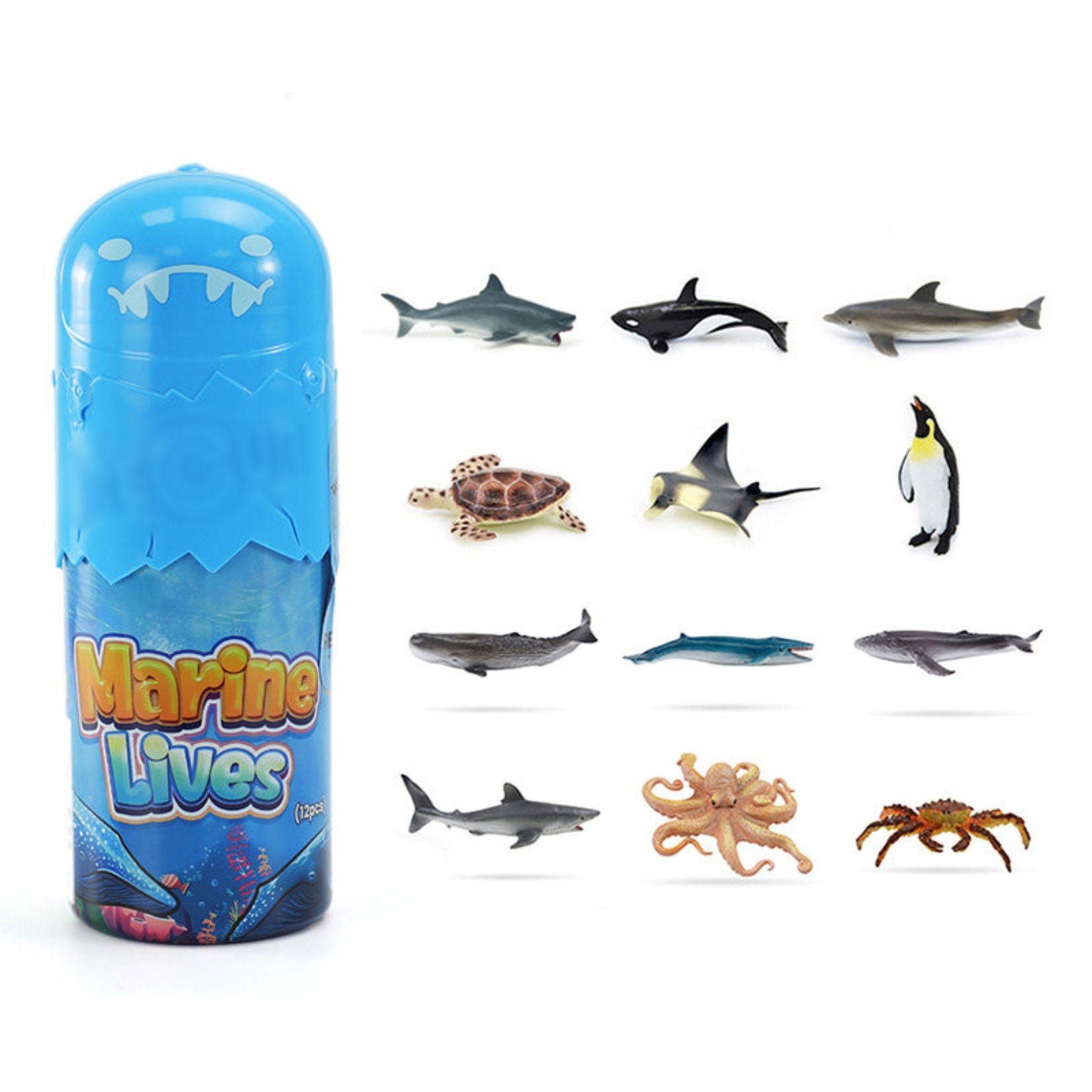 RECUR  Marine Animal Model Set