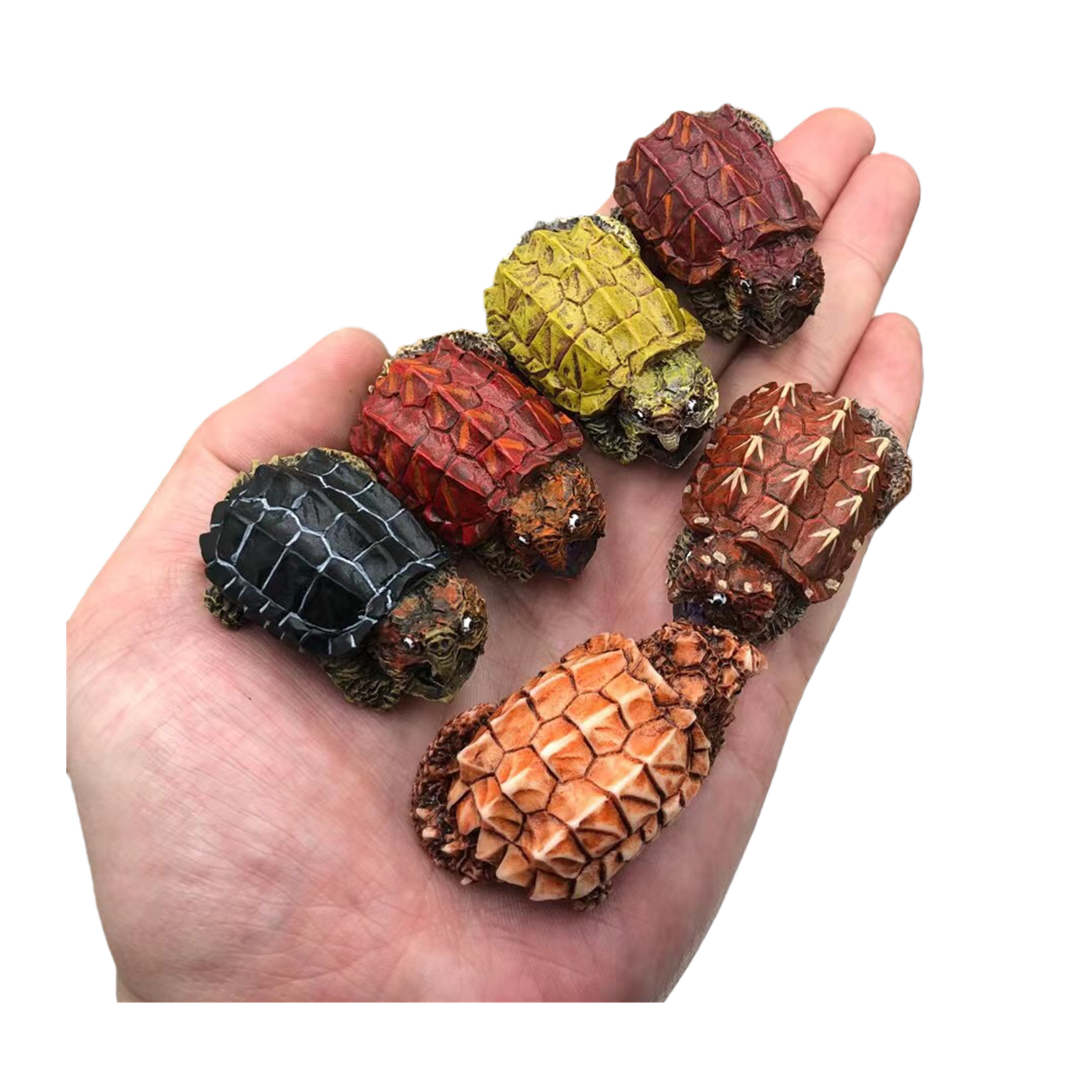 Schildkröten-Serie Tiermodell 