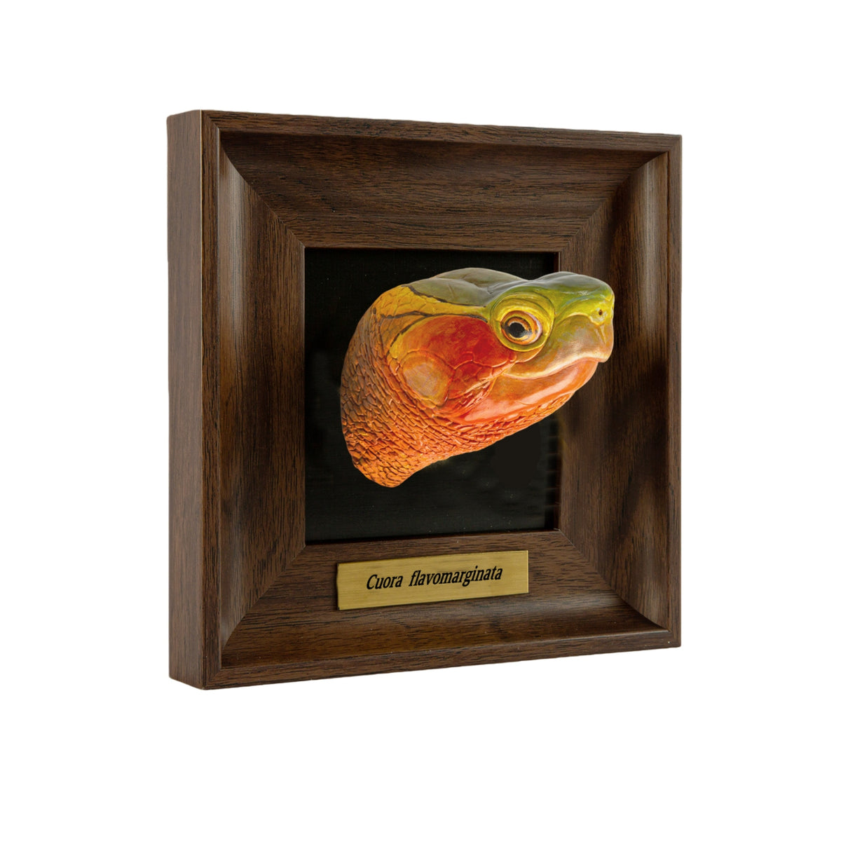Animal Heavenly Body Frame Reptile Arts Series Volume 1 Model