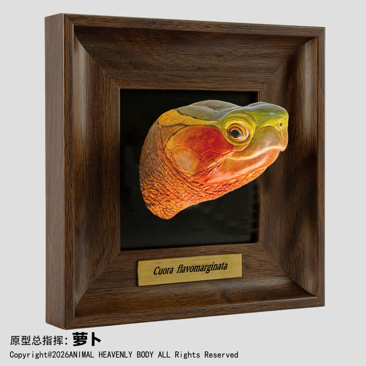 Animal Heavenly Body Frame Reptile Arts Series Volume 1 Model