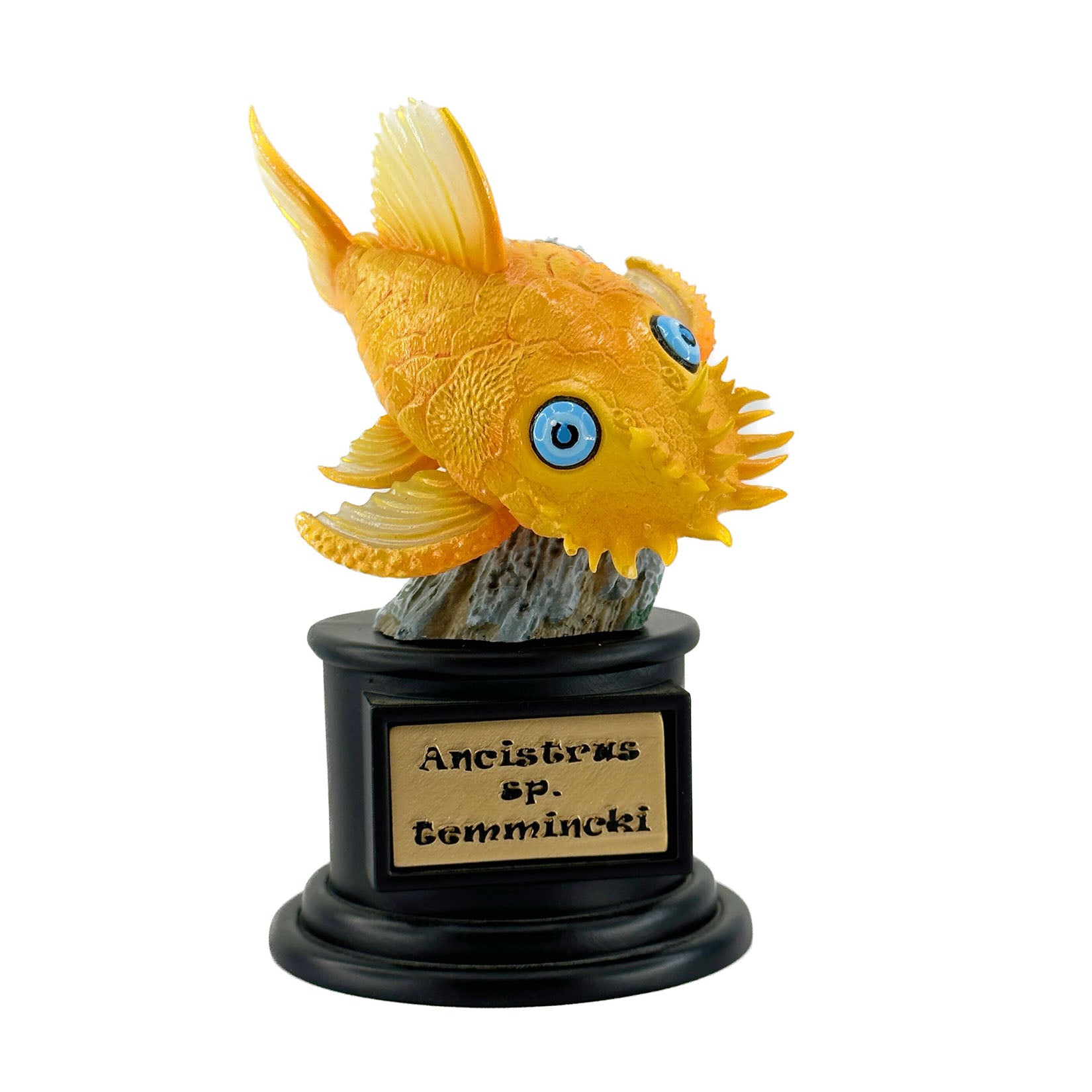 BOWUZHI Studio Fish Model