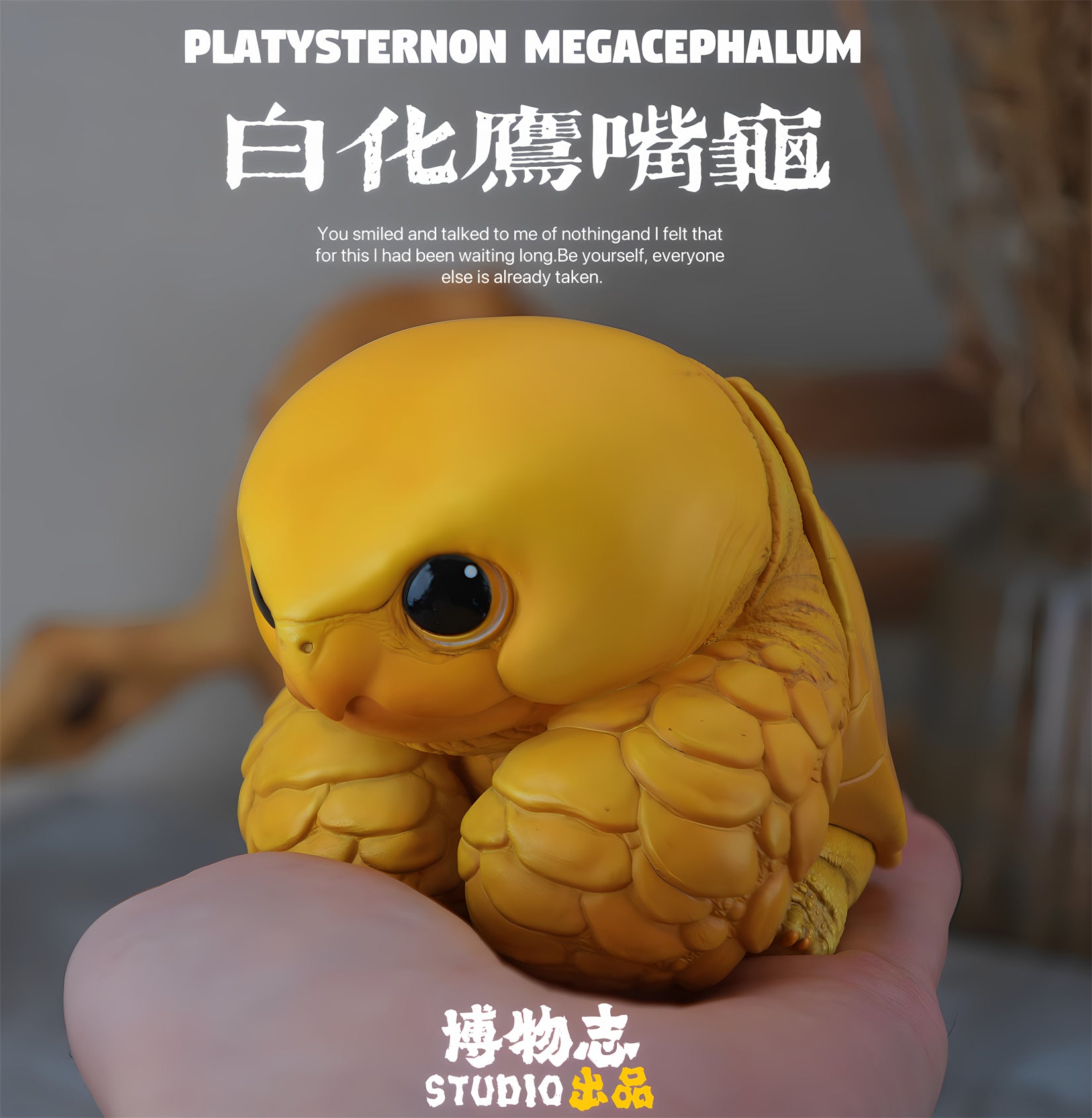 Schildkröten-Serie Tiermodell 