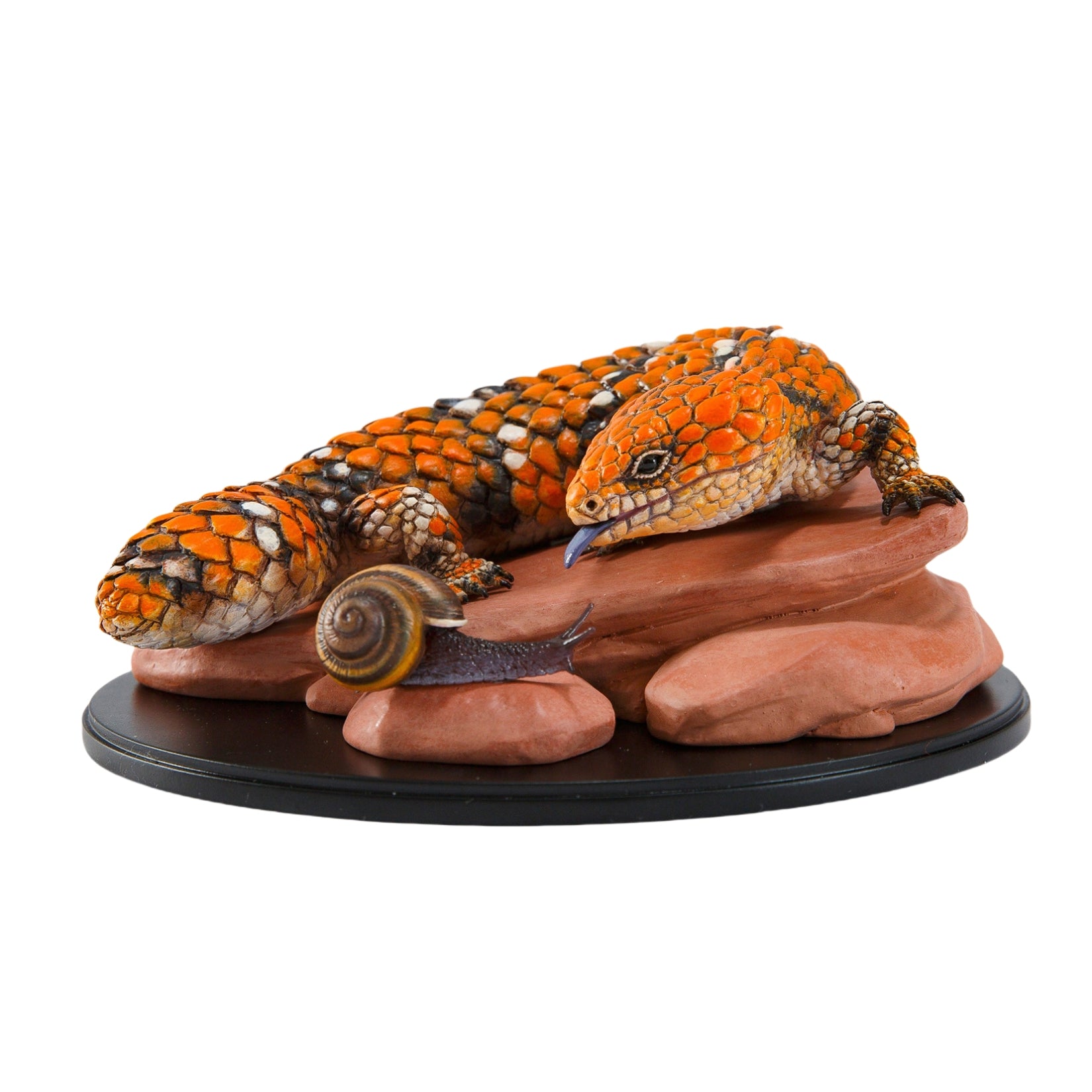 Animal Planet  Trachydosaurus Rugosus Model