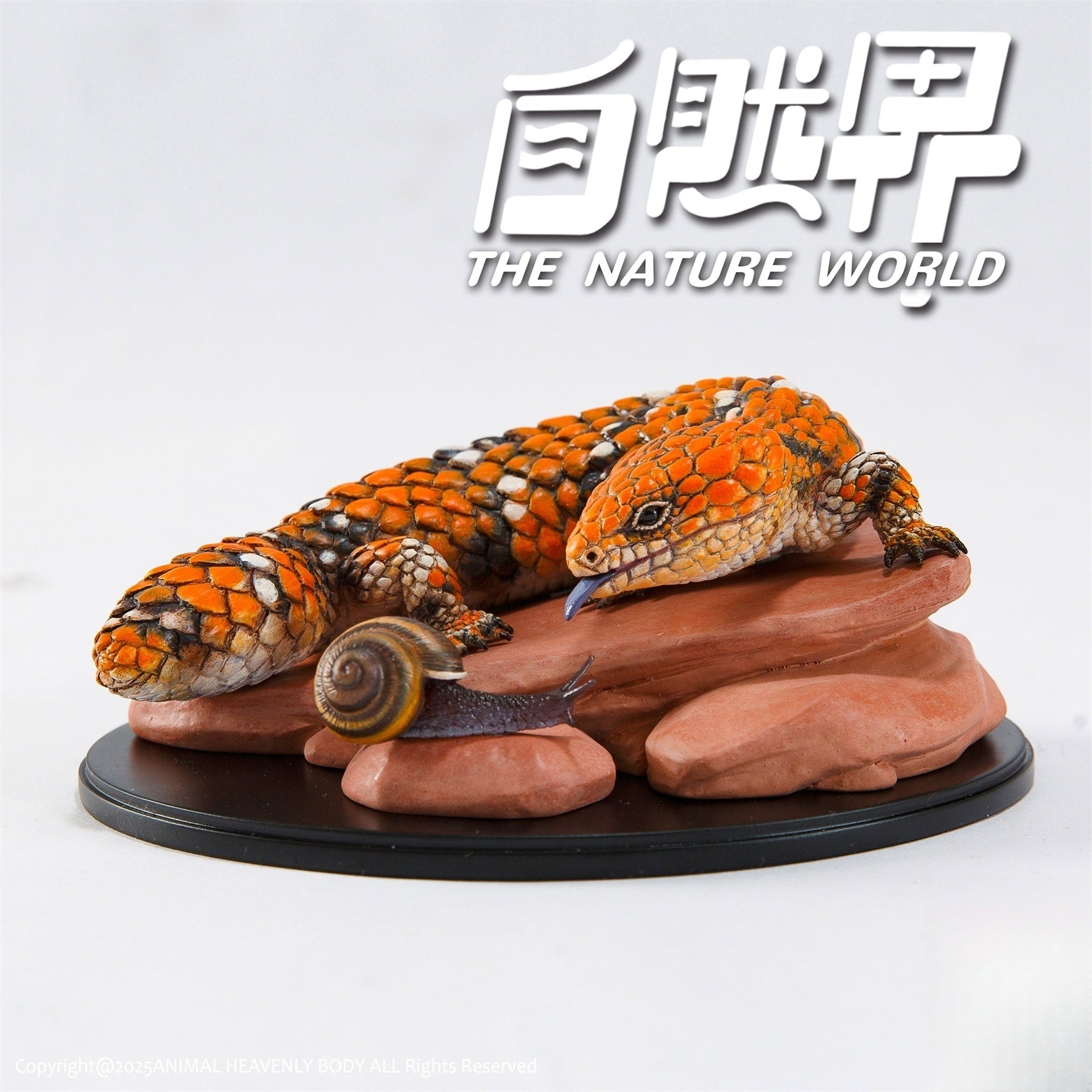 Animal Planet  Trachydosaurus Rugosus Model