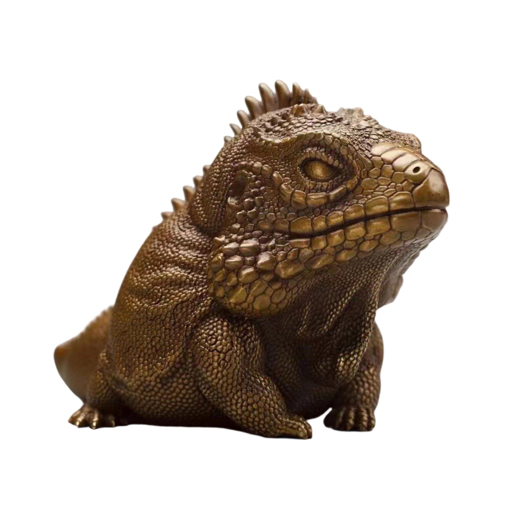 BOWUZHI Studio Bronze Cyclura lewisi Model