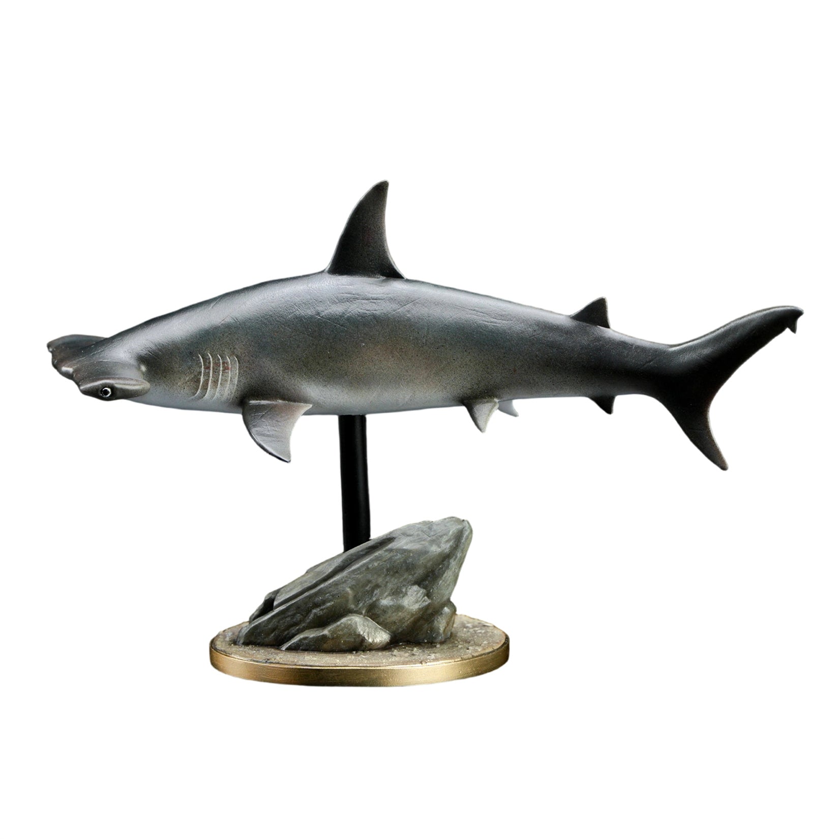 Great Hammerhead Model