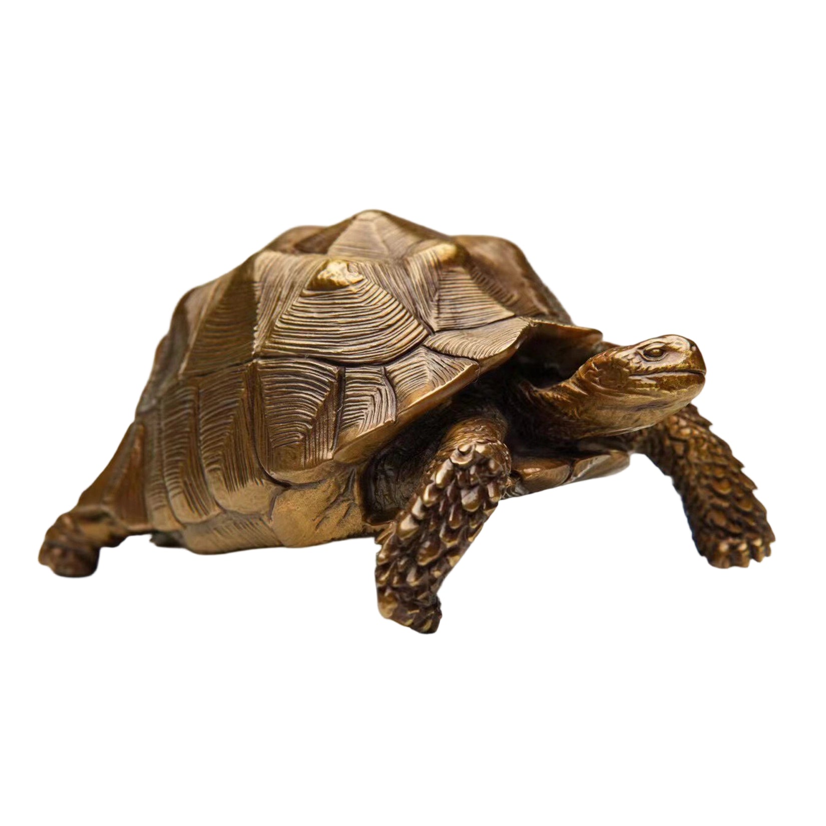 BOWUZHI Studio Sahel Tortoise Bronze Edition Model